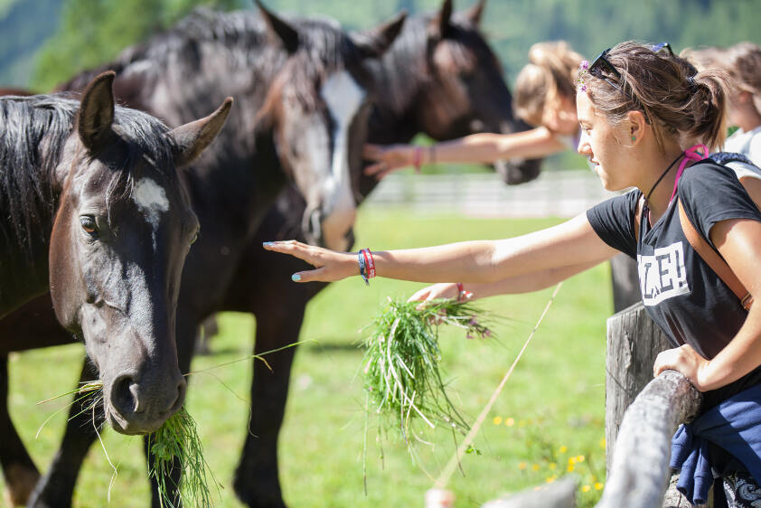 Una ragazza accarezza un cavallo che mangia ai campi vacanze
