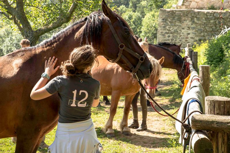 Una ragazza accarezza e accudisce un cavallo marrone al soggiorno linguistico francese