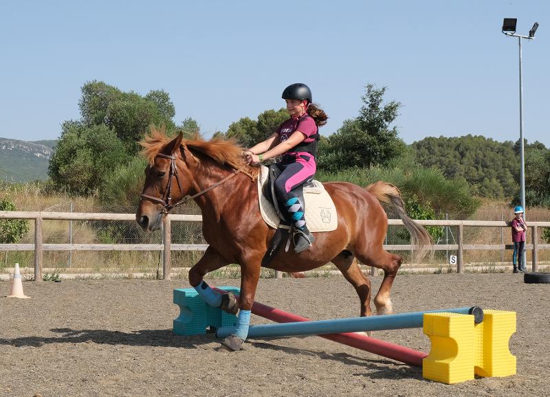 Una bambina con un caschetto in testa salta un ostacolo a cavallo al campo estivo Umbria