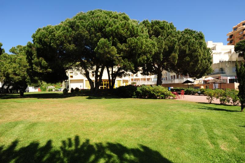 Giardini spaziosi e curati al campo estivo surf
