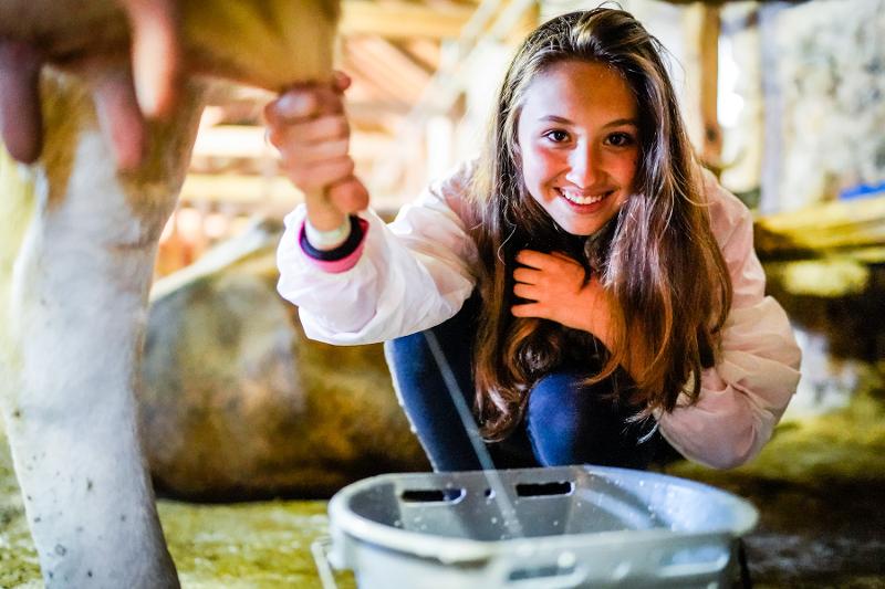 Al campo estivo equitazione, una ragazza sta mungendo una mucca nella stalla con la mano