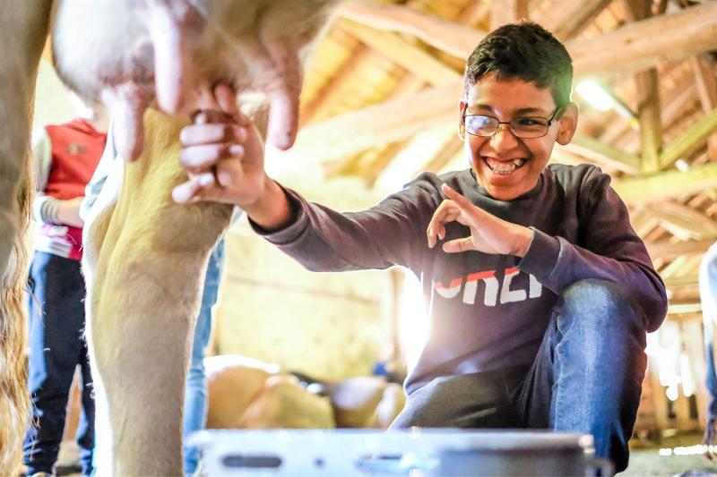 Un ragazzo impara a mungere una mucca al campo estivo teatro