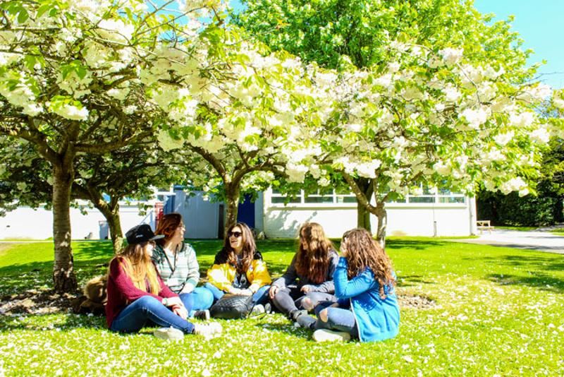 Ragazzi che ridono sotto un albero mentre c'è un sole molto forte