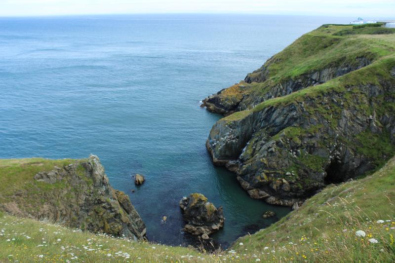 Vista della costa irlandese immersa nel verde durante il soggiorno linguistico Dublino