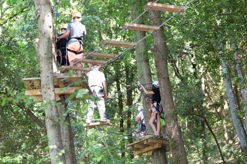 Ai viaggi organizzati Trentino un gruppo di ragazzi sta facendo un percorso ad un parco avventura