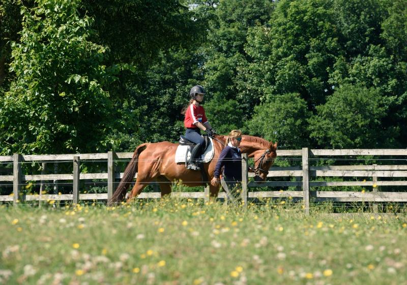 In un bellissimo prato verde, immersi nella natura, vi è una ragazza che monta un cavallo di fianco ad un istruttrice che ha le briglie del cavallo al soggiorno in lingua inglese nel cuore della Scozia
