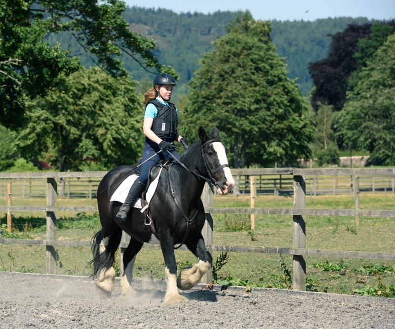 Una ragazza sta montando un cavallo bianco e nero in un recinto immerso nella natura al soggiorno in lingua inglese nel cuore della Scozia
