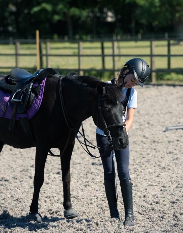 Ragazzina che accarezza un cavallo in un recinto circondato dal verde con l'attrezzatura necessaria al soggiorno in lingua inglese nel cuore della Scozia