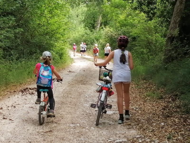 Un gruppo di bambini esplora i boschi lombardi in bicicletta ai viaggi organizzati Lombardia