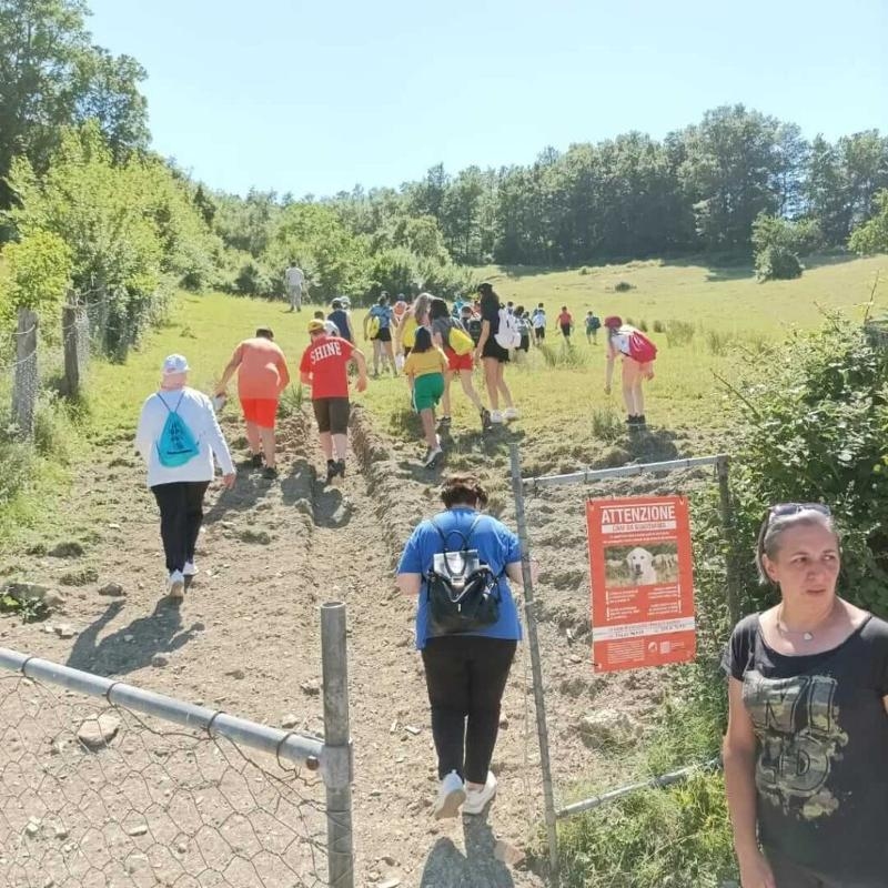 Al campo estivo multisport e minibasket a Ligonchio i ragazzi con gli istruttori si stanno incamminando per fare trekking insieme 