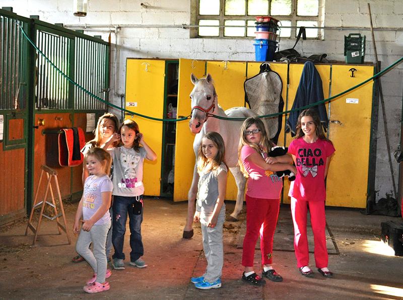 Al campo estivo naturalistico e di equitazione a Vivaro ci sono delle bambine che sono nella stalla del cavallo e stanno facendo una foto