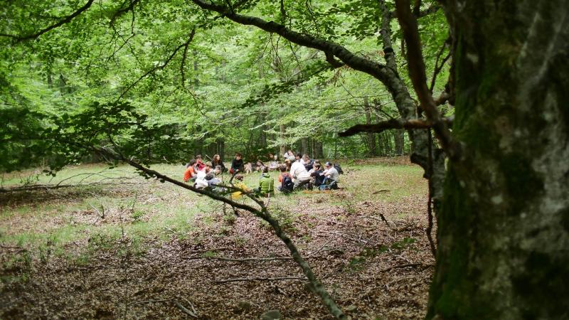 Al campo estivo avellino dei ragazzi sono seduti nei boschi