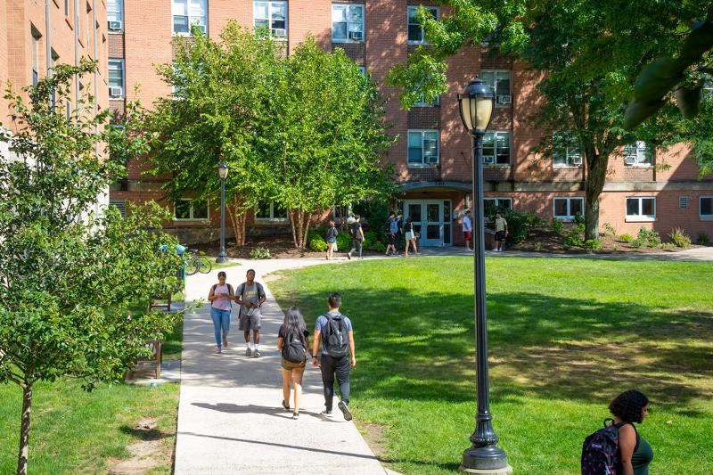 Al soggiorno linguistico inglese New York c'è un area esterna spaziosa e verde