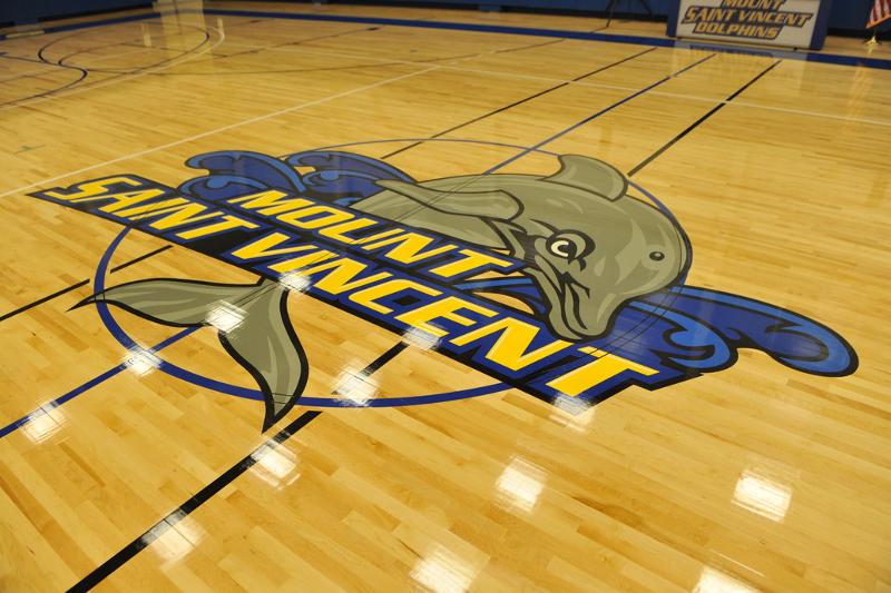 Al soggiorno linguistico inglese New York c'è lo stemma della scuola nel campo di basket 