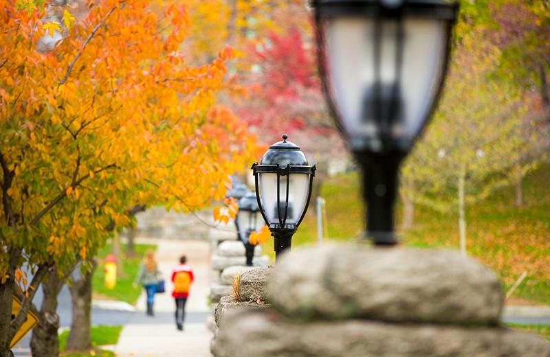 Al soggiorno linguistico inglese New York c'è un viale esterno curato 