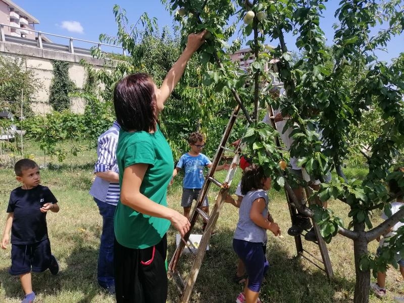 Una famiglia coglie la frutta da un albero nell'entroterra salentino ai viaggi organizzati Salento