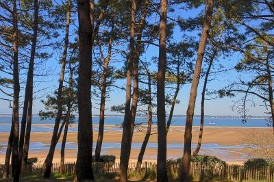 Soggiorno linguistico francese ad Arcachon - Arcachon