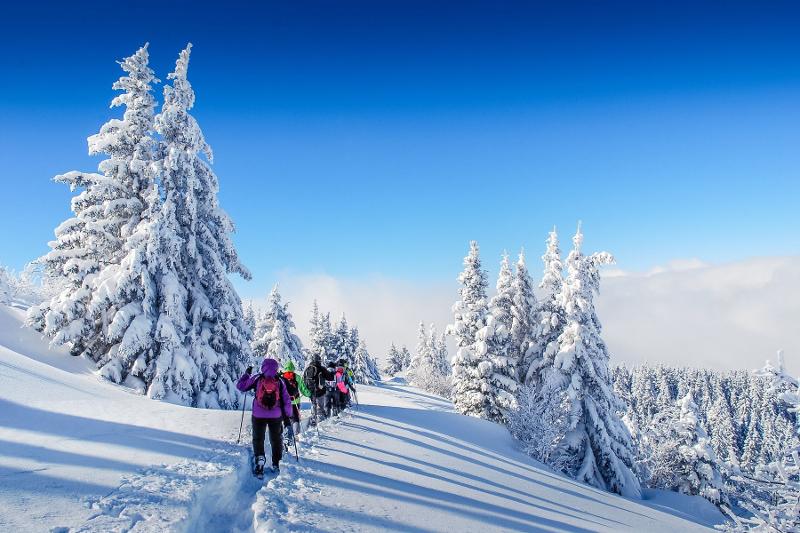 Campi invernali sci 2026 Campi invernali sci