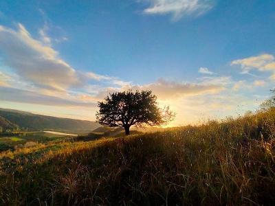 Viaggi organizzati Calabria 2026