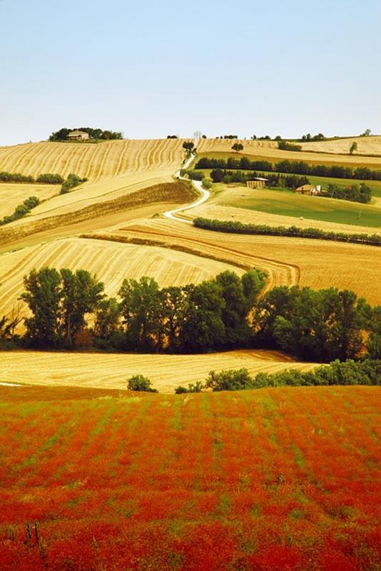 Viaggi organizzati Marche 2026