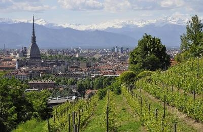 Viaggi organizzati Torino 2024