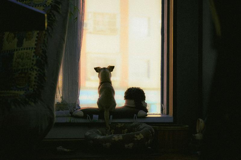 10 consigli per combattere la nostalgia di casa